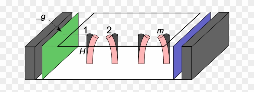 The 3d Model Considered - The 3d Model Considered #1567004