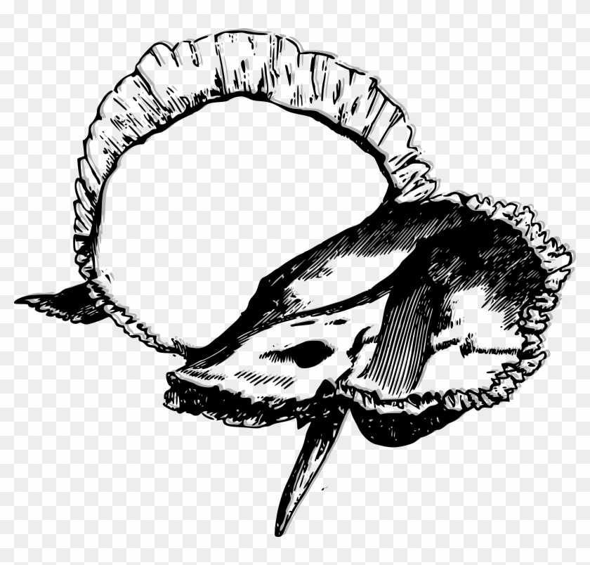 Medium Image - Medium Image #1567132