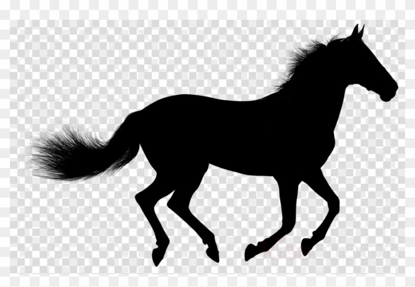 Frente de cavalo PNG transparente - StickPNG