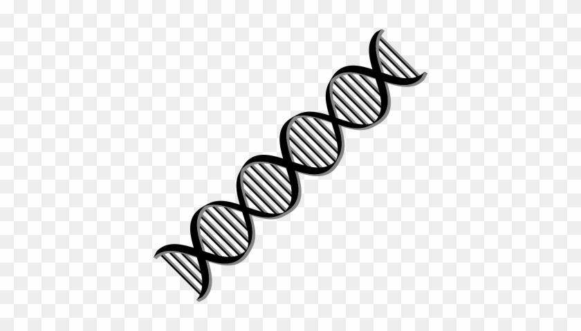 Dna Download Png File Hd - Dna Download Png File Hd #1567288