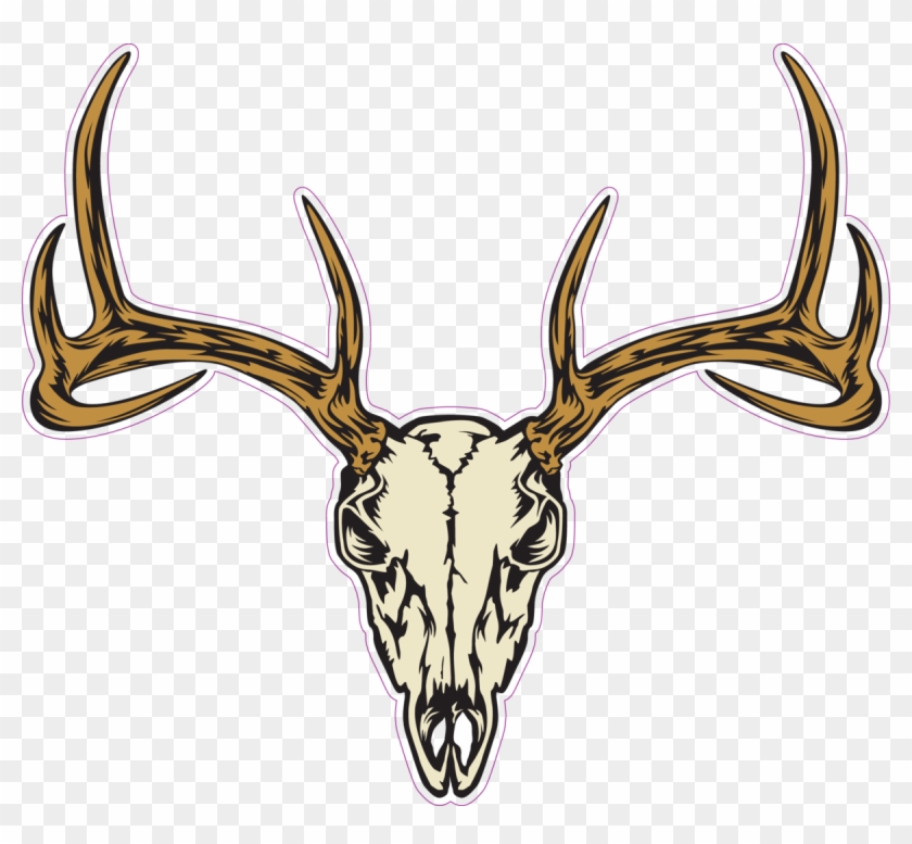 Deer Skull Decal Png - Deer Skull Decal Png #1567359
