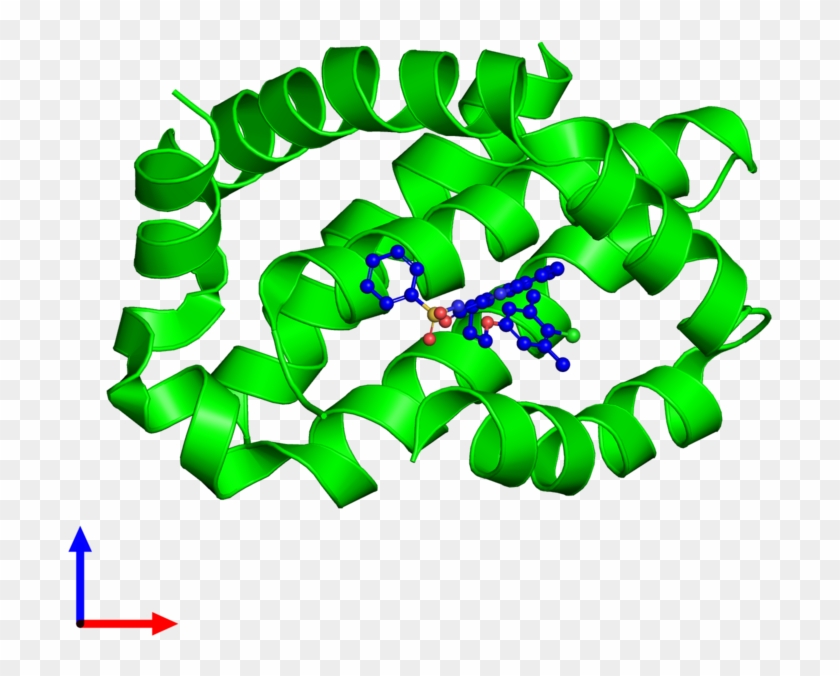 Monomeric Assembly 4 Of Pdb Entry 5fdo Coloured By - Monomeric Assembly 4 Of Pdb Entry 5fdo Coloured By #1567554