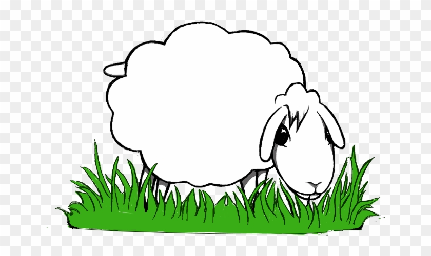 What Do I Do On My Juniper Meadows - What Do I Do On My Juniper Meadows #1567574