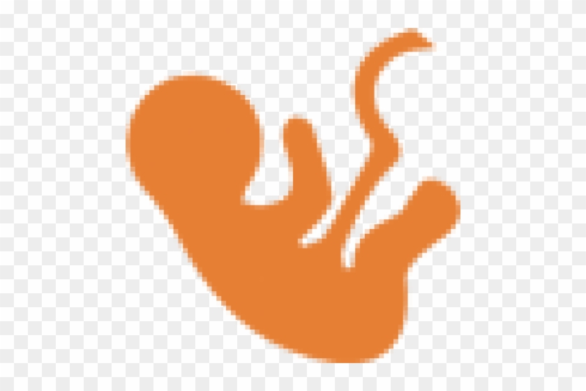 Cervical Biopsy - Cervical Biopsy #1567948