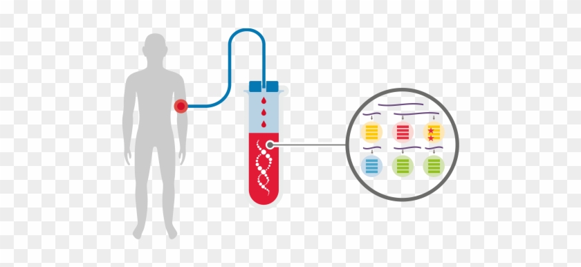 Liquid Biopsy Market - Liquid Biopsy Market #1567961