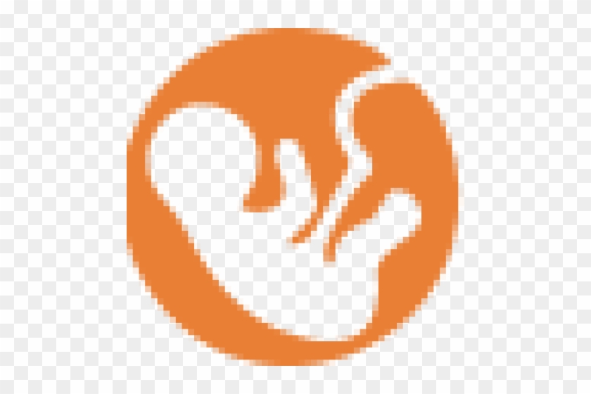 Removal Of Endometrial Polyps - Removal Of Endometrial Polyps #1567970