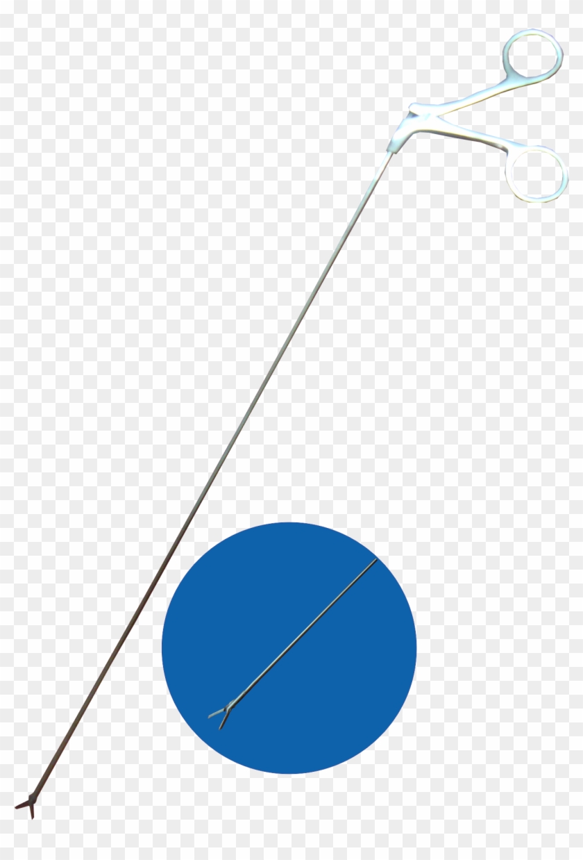 Description - Description #1567977