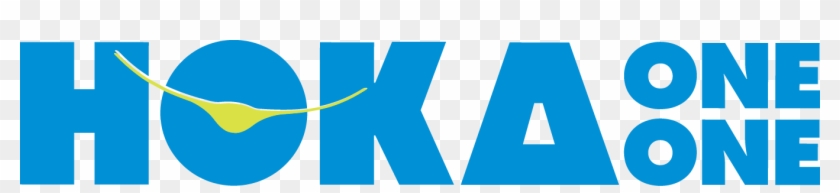 Running & Walking Sock Brands - Running & Walking Sock Brands #1568223