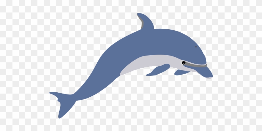Cute Clipart Dolphin Png Image - Cute Clipart Dolphin Png Image #1568732