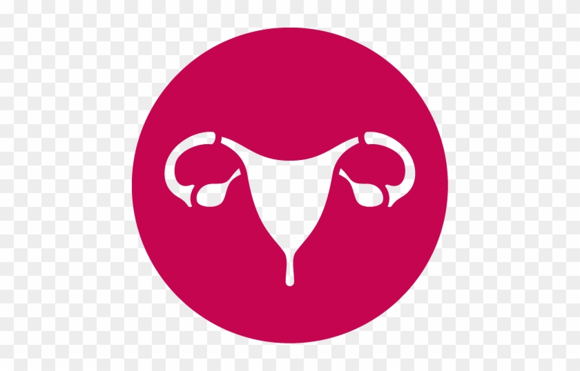 Womens Ultrasound - Womens Ultrasound #1569191