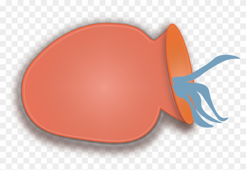 Takotsubo Cardiomyopathy - Takotsubo Cardiomyopathy #1569201