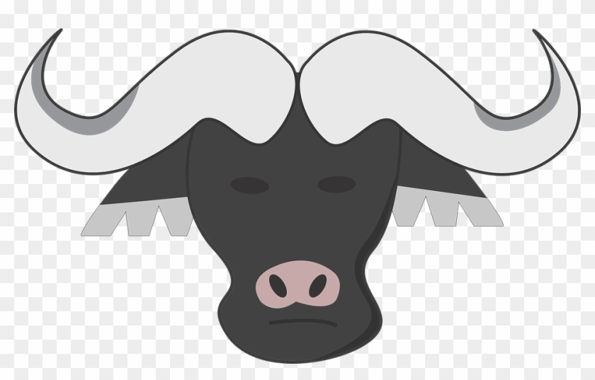 Buffalo Milk Is Good For Healthy Bones Dental Health - Buffalo Milk Is Good For Healthy Bones Dental Health #1569284