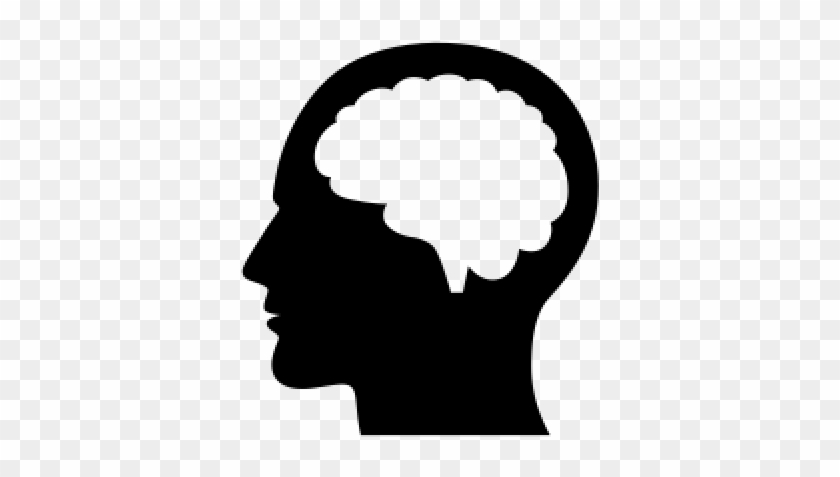 Brain - Png - Brain - Png #1569326