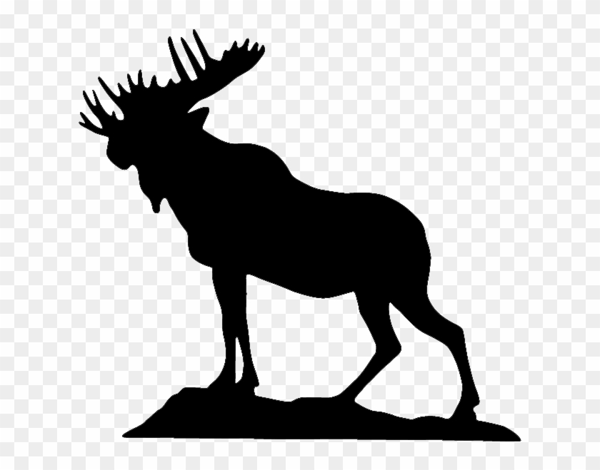 Moose Clipart Loyal Order - Moose Clipart Loyal Order #1569451