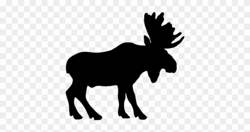 Moose, Elk Png, Download Png Image With Transparent - Moose, Elk Png, Download Png Image With Transparent #1569455