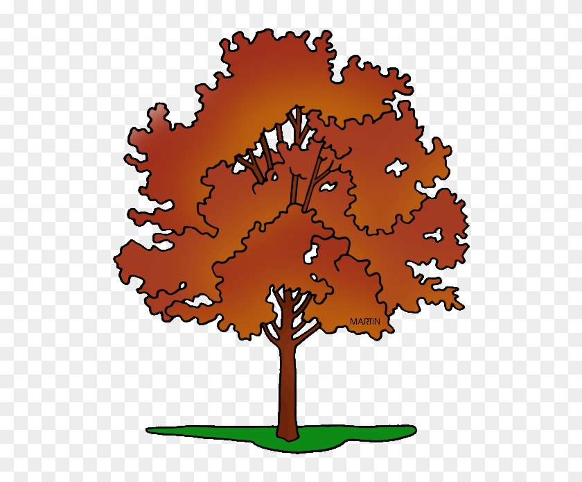 United States Clip Art By Phillip Martin, State Tree - United States Clip Art By Phillip Martin, State Tree #1569586