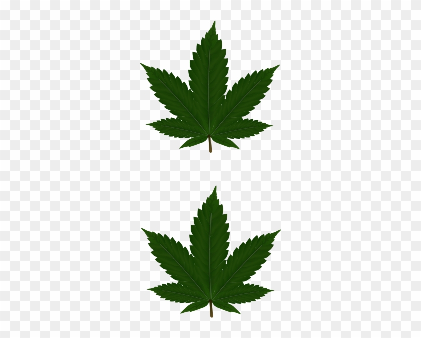 2 Cannabis Leaves Clip Art At Clker Com Vector Clip - 2 Cannabis Leaves Clip Art At Clker Com Vector Clip #1569751