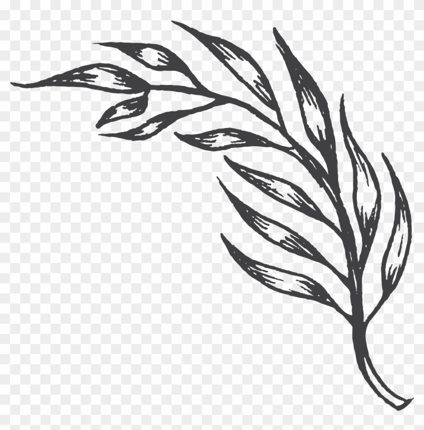 A Brief History Of The Portuguese In Hawai`i - A Brief History Of The Portuguese In Hawai`i #1569775