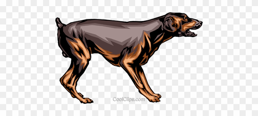 Dog Royalty Free Vector Clip Art Illustration - Dog Royalty Free Vector Clip Art Illustration #1570350