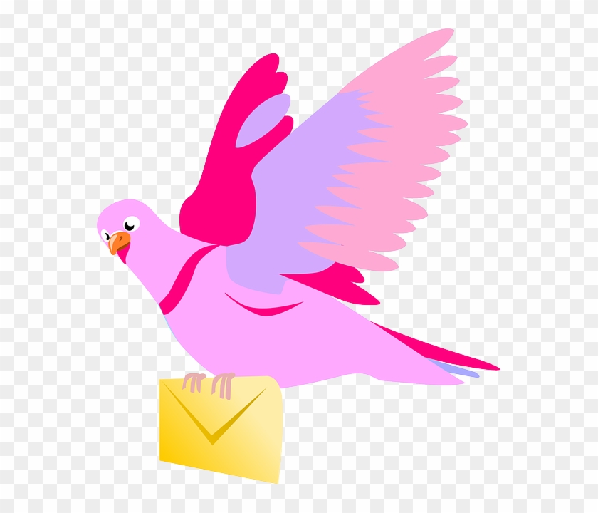 Message Clipart Bird - Message Clipart Bird #1570380