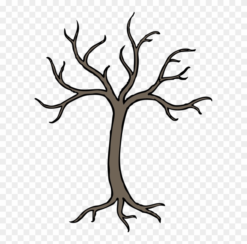 Tree Cartoon Drawing Oak Branch - Tree Cartoon Drawing Oak Branch #1571106