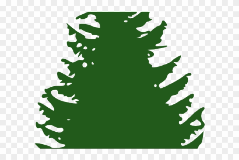 Fir Tree Clipart Redwood - Fir Tree Clipart Redwood #1571107
