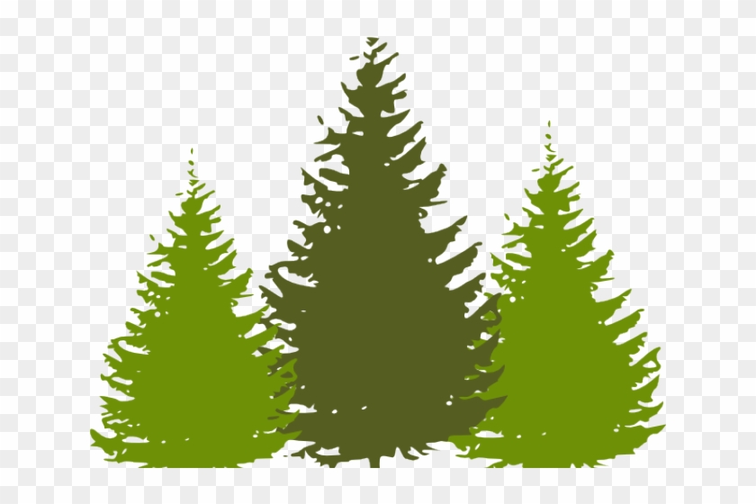 Redwood Tree Cliparts - Redwood Tree Cliparts #1571110