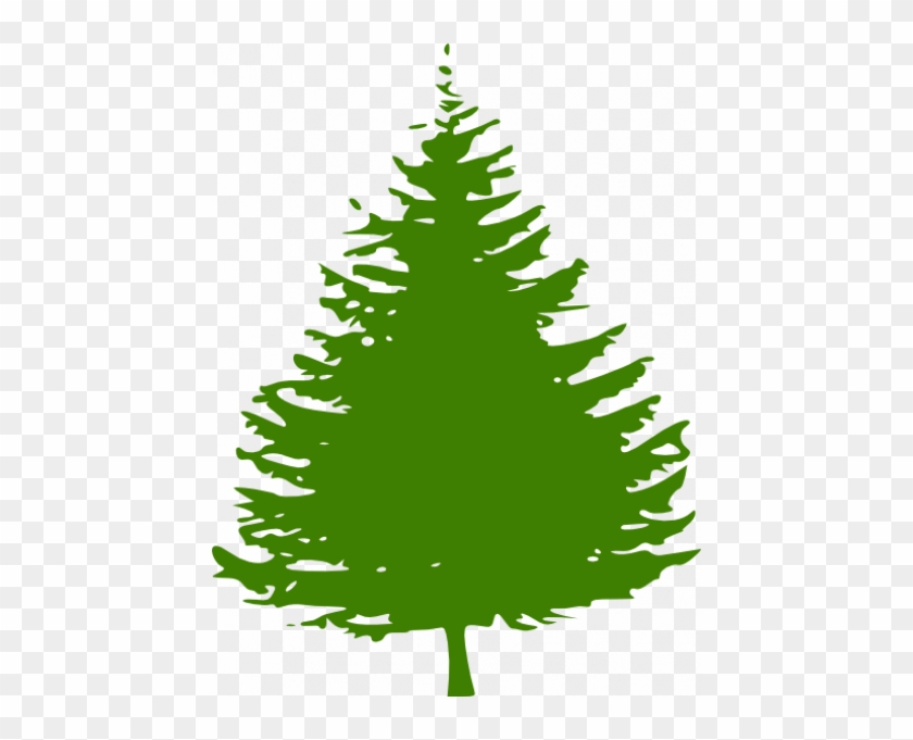 Redwood Vector - Redwood Vector #1571111