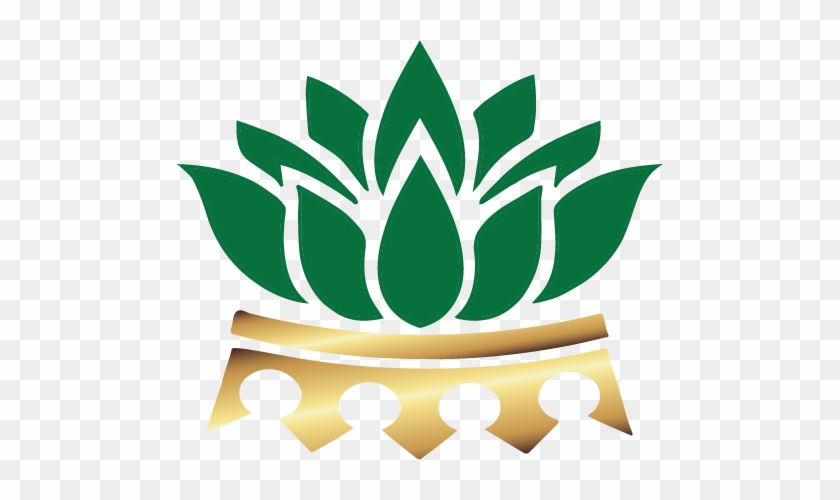 Burks Financial Management, Llc Offers Customized Financial - Burks Financial Management, Llc Offers Customized Financial #1571184