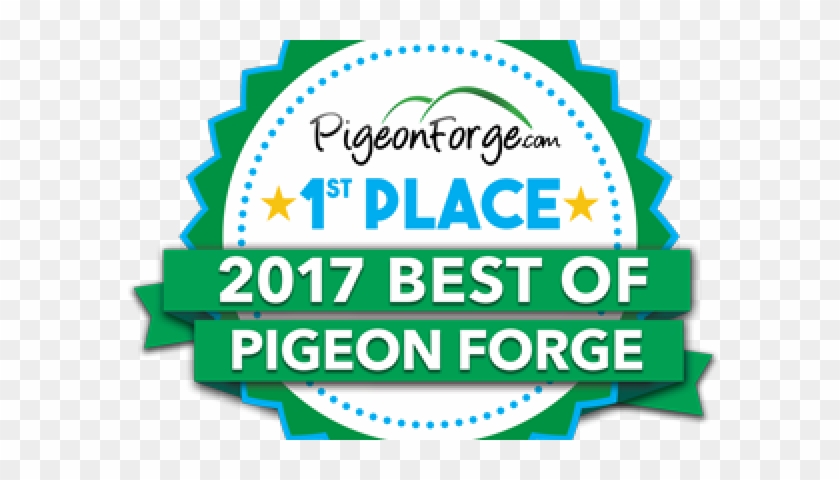 1st Place Plain Web - 1st Place Plain Web #1571404