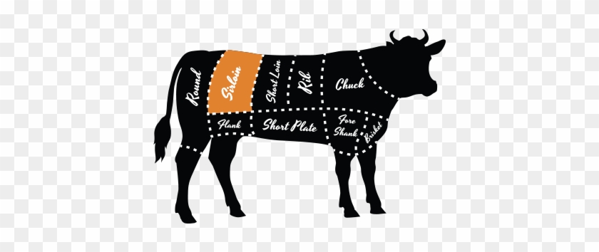 Diagram Of The Cow That Points Out The Sirloin - Diagram Of The Cow That Points Out The Sirloin #1571537