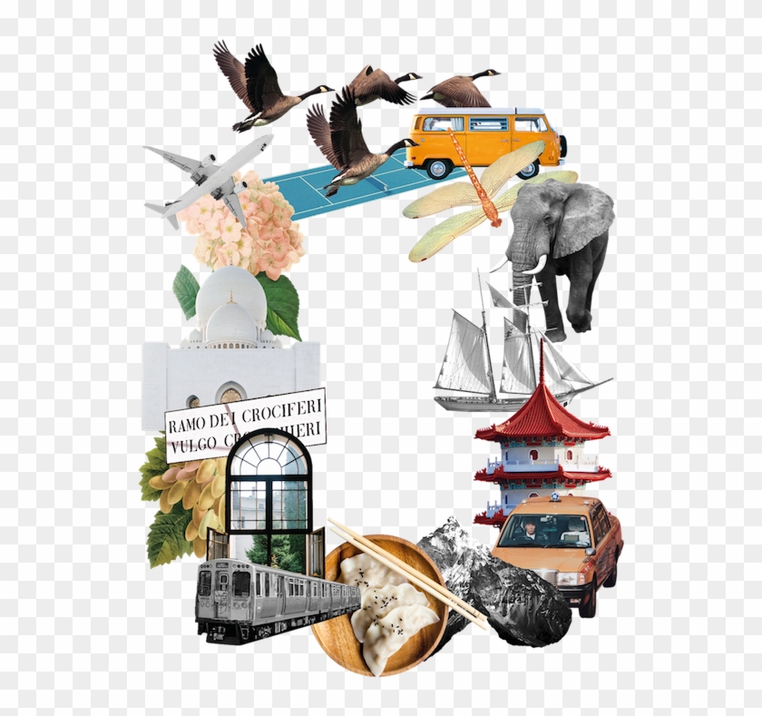 A Year-round Travel Club - A Year-round Travel Club #1571736
