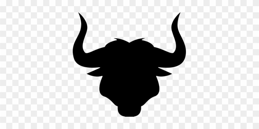 Longhorn Free Pictures On Pixabay - Longhorn Free Pictures On Pixabay #1572044