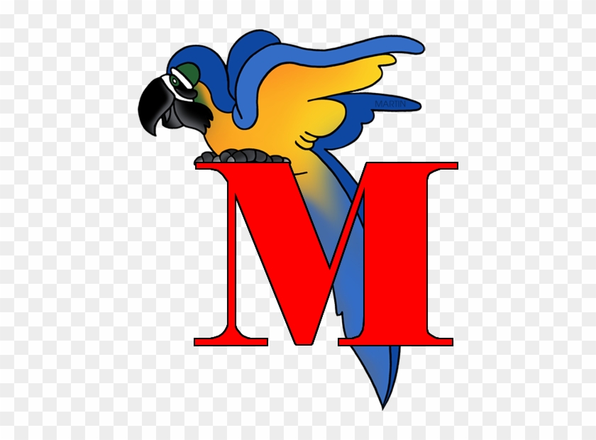 Macaw Clipart Phillip Martin - Macaw Clipart Phillip Martin #1572619