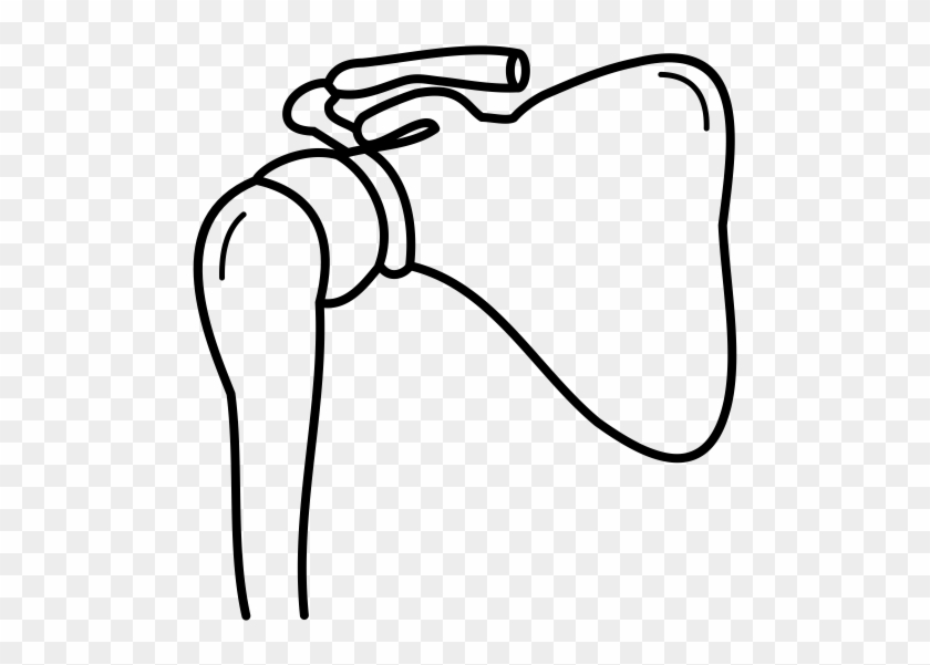 Mri Shoulder Joint - Mri Shoulder Joint #1572850
