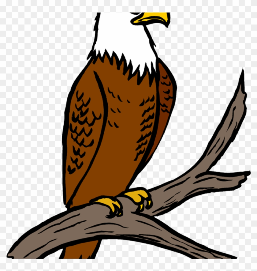 Free Eagle Clipart Eagle Feather Clipart At Getdrawings - Free Eagle Clipart Eagle Feather Clipart At Getdrawings #1572935