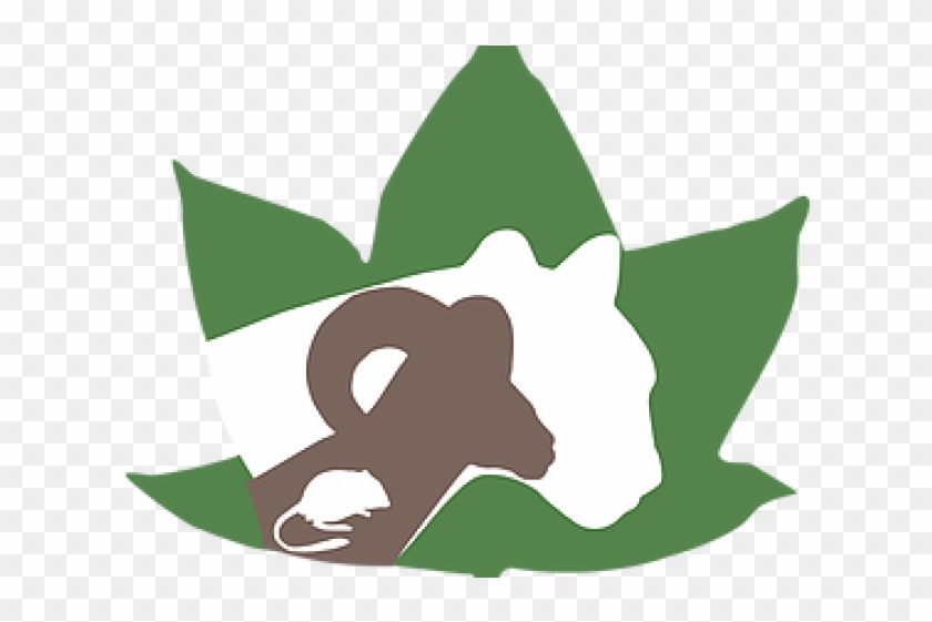 Environmental Clipart Environmental Education - Environmental Clipart Environmental Education #1573155