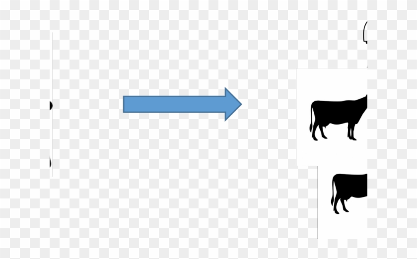 Herd Clipart Two Cow - Herd Clipart Two Cow #1573234