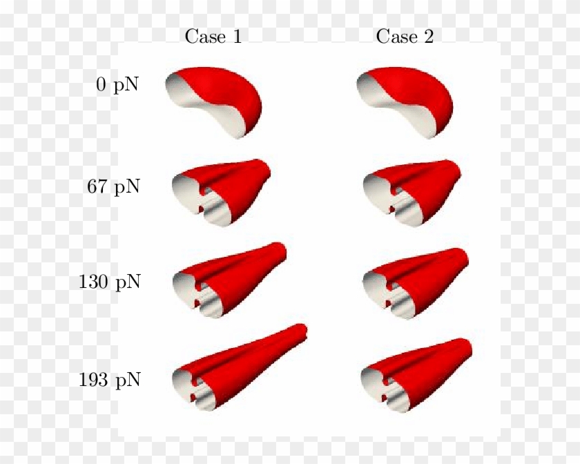 Visualization Of The Red Blood Cell Deformation Over - Visualization Of The Red Blood Cell Deformation Over #1573337