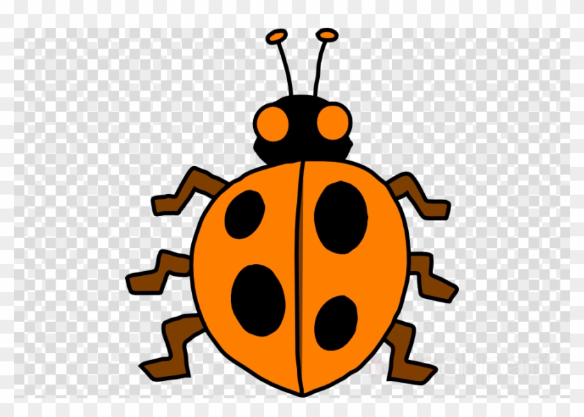 รูป เต่าทอง การ์ตูน Clipart Ladybird Beetle Clip Art - รูป เต่าทอง การ์ตูน Clipart Ladybird Beetle Clip Art #1573547