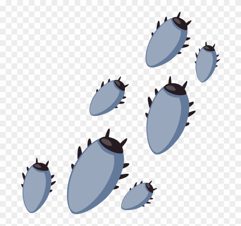 Beetle Software Bug Tick Computer Software Bed Bug - Beetle Software Bug Tick Computer Software Bed Bug #1573565