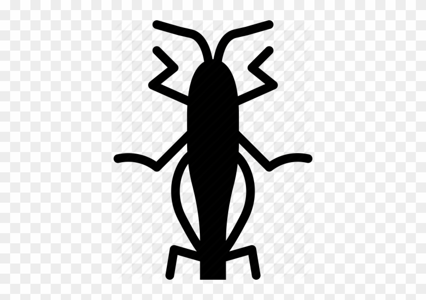 images Cute Grasshopper Clipart Black And White grasshopper clipart beetle