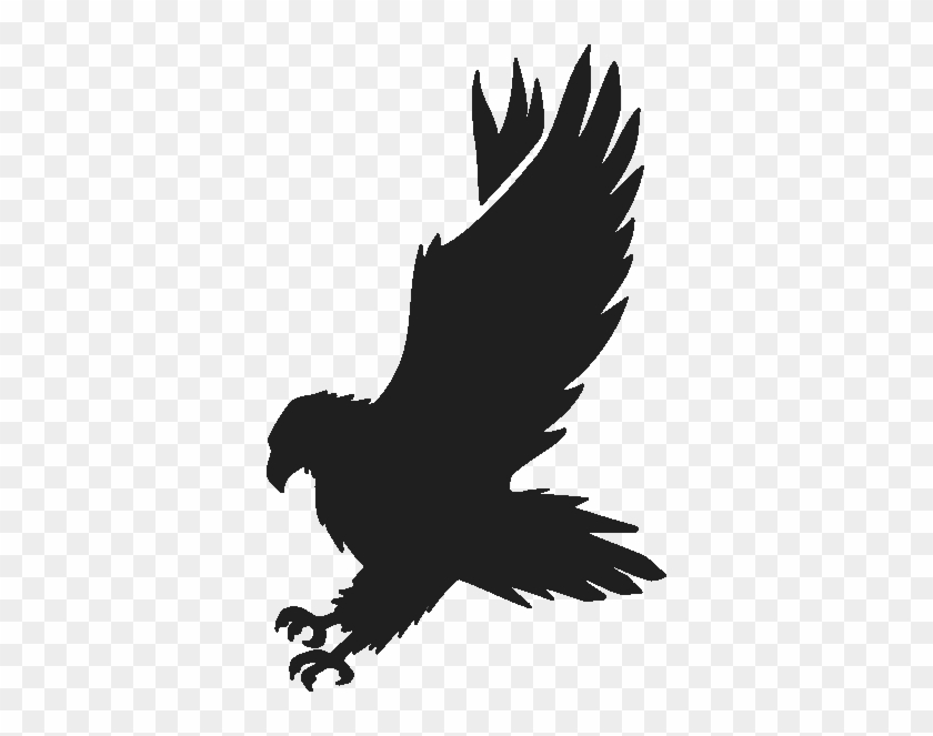 Cute Hawk Clipart Bclipart Free Clipart Images Kbxzca - Cute Hawk Clipart Bclipart Free Clipart Images Kbxzca #1574166