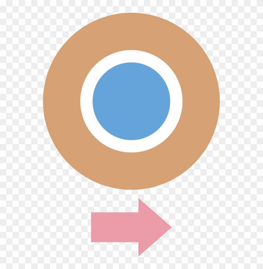 Eye Forward Inc - Eye Forward Inc #1574748