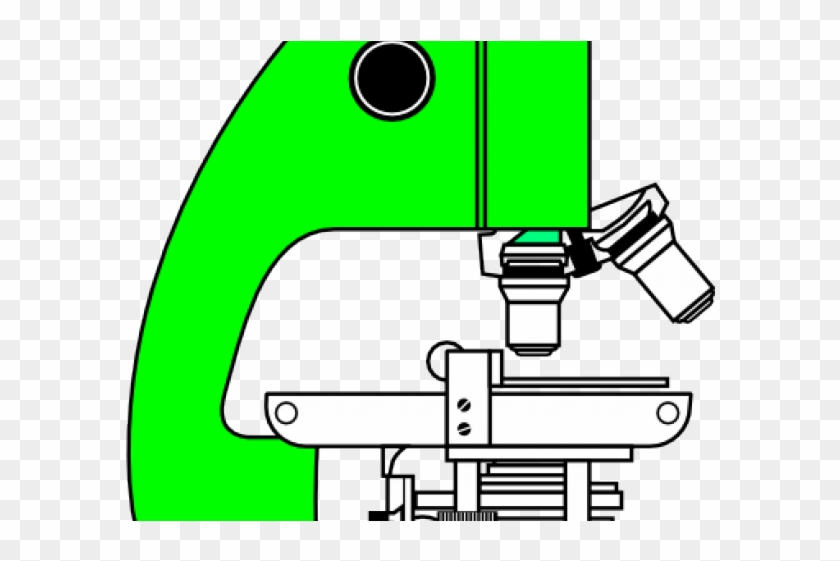 Microscope Clipart Description - Microscope Clipart Description #1575207