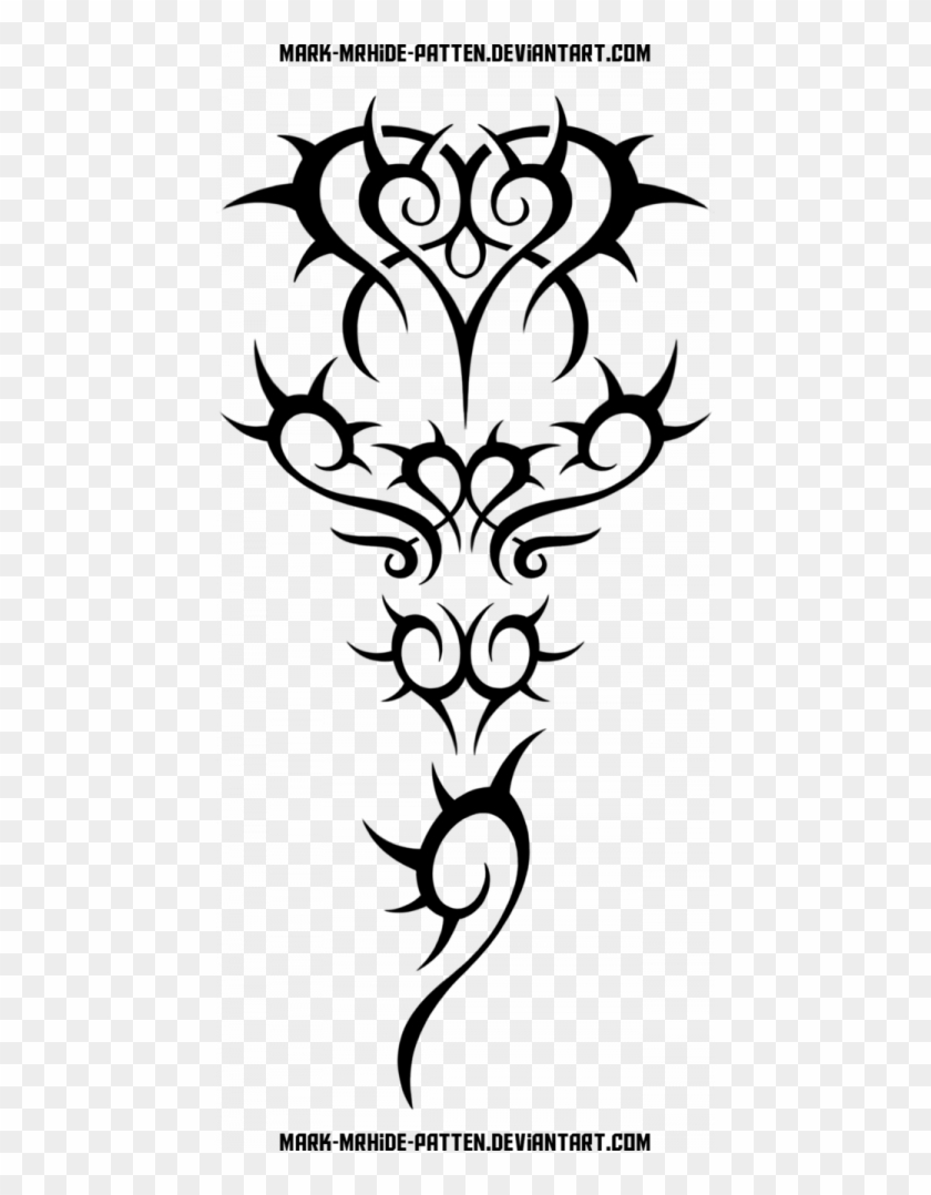 Thorn Drawing - Thorn Drawing #1575231