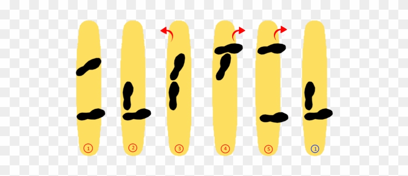 Longboard Dancing Cross Step - Longboard Dancing Cross Step #1575403