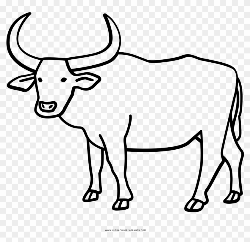 Buffalo Coloring - Buffalo Coloring #1575783