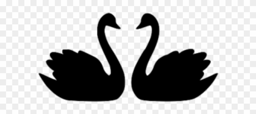 Black Swan Clipart Katayam - Black Swan Clipart Katayam #1576194