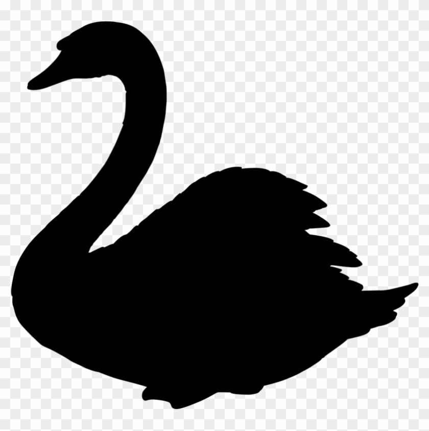 Swan Silhouette - Swan Silhouette #1576195